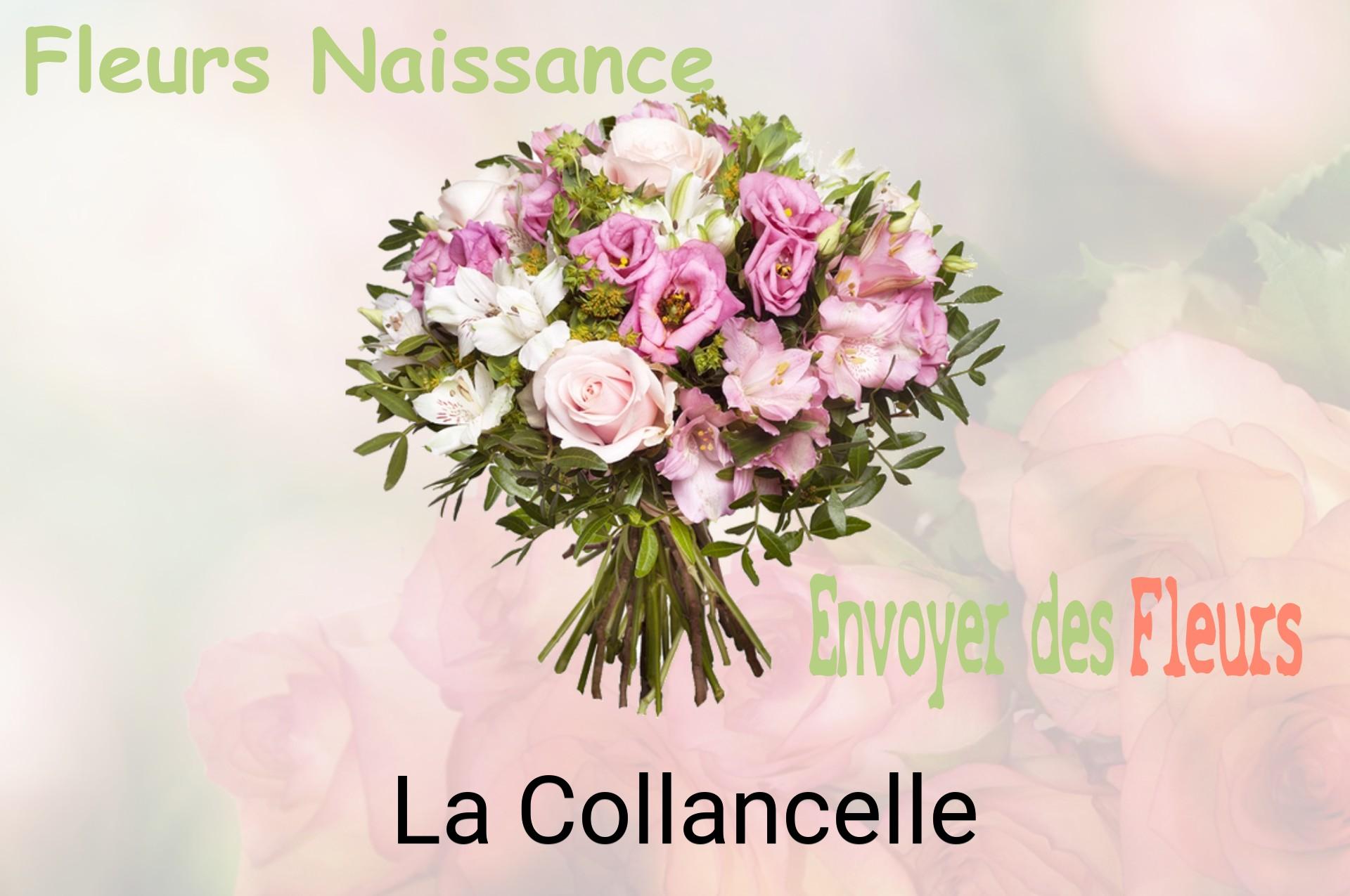 Bouquet de fleurs de naissance livré à La Collancelle